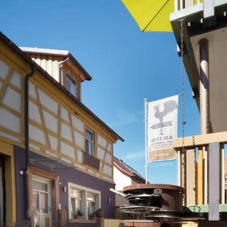 Tennenboden-komfort-dz-die-ehemalige-tenne-in-der-hofstallung *